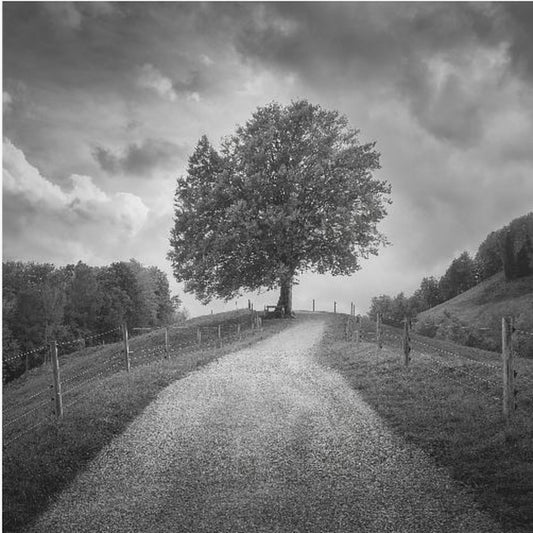 Unter schwarzem Himmel | Leinwand-Bilder