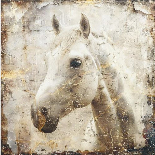 Pferd Vintage Kunst Illustration 02 | Poster