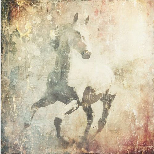 Pferd Vintage Kunst Illustration 07 | Poster