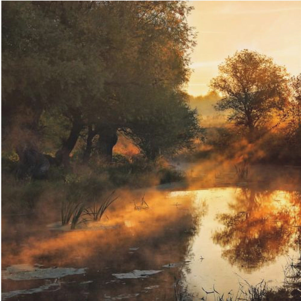 Quand la nature peint avec la lumière I | Tableaux sur Toile