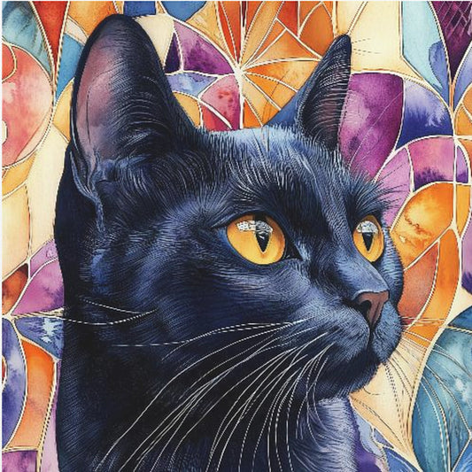 Schwarze Katze Rocky | Poster