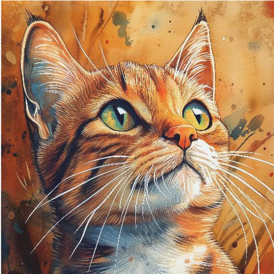 Katze Henry | Poster