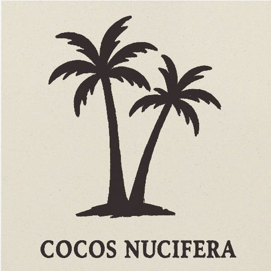 Cocosnucifera | Poster