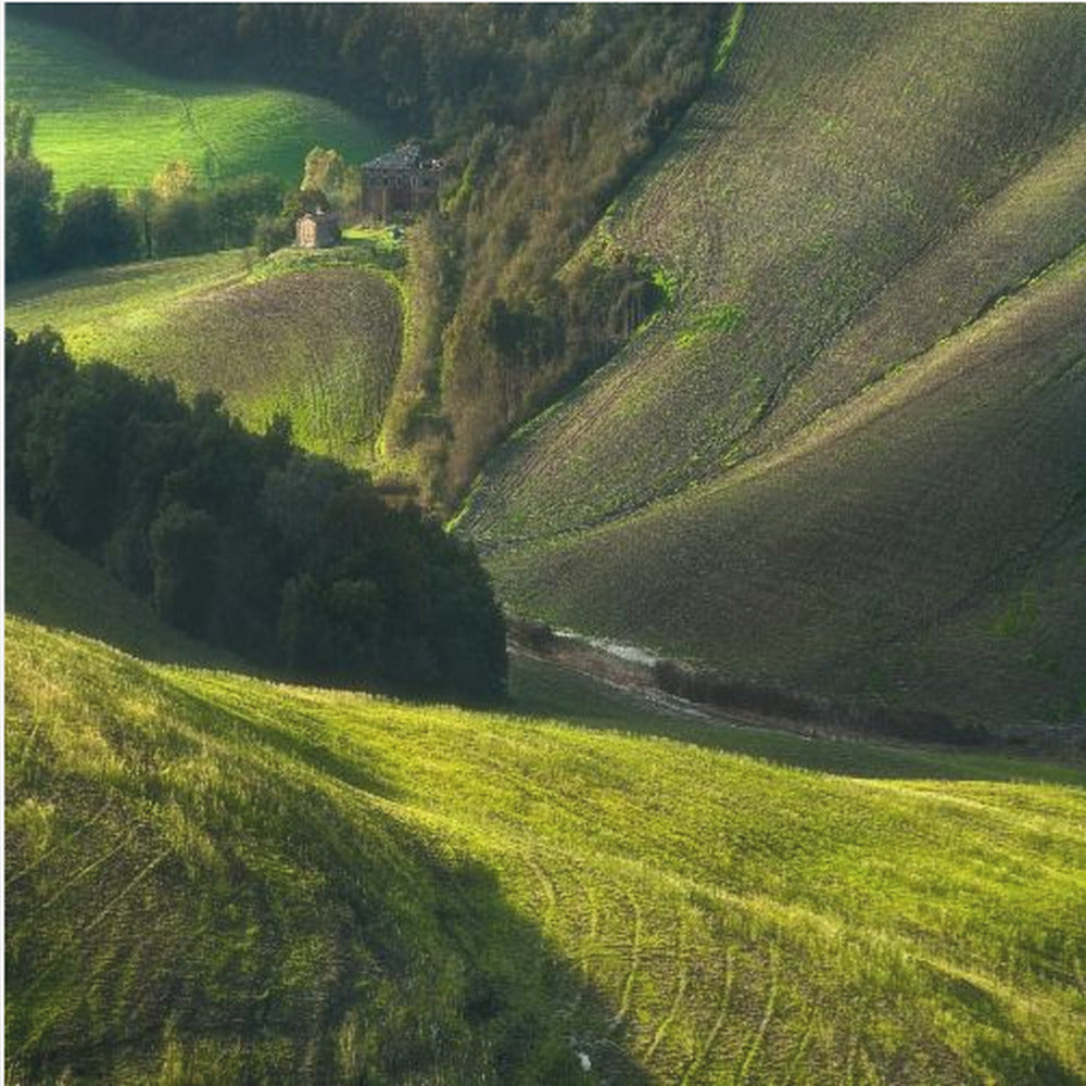 Crete Senses/Tuscany | Poster
