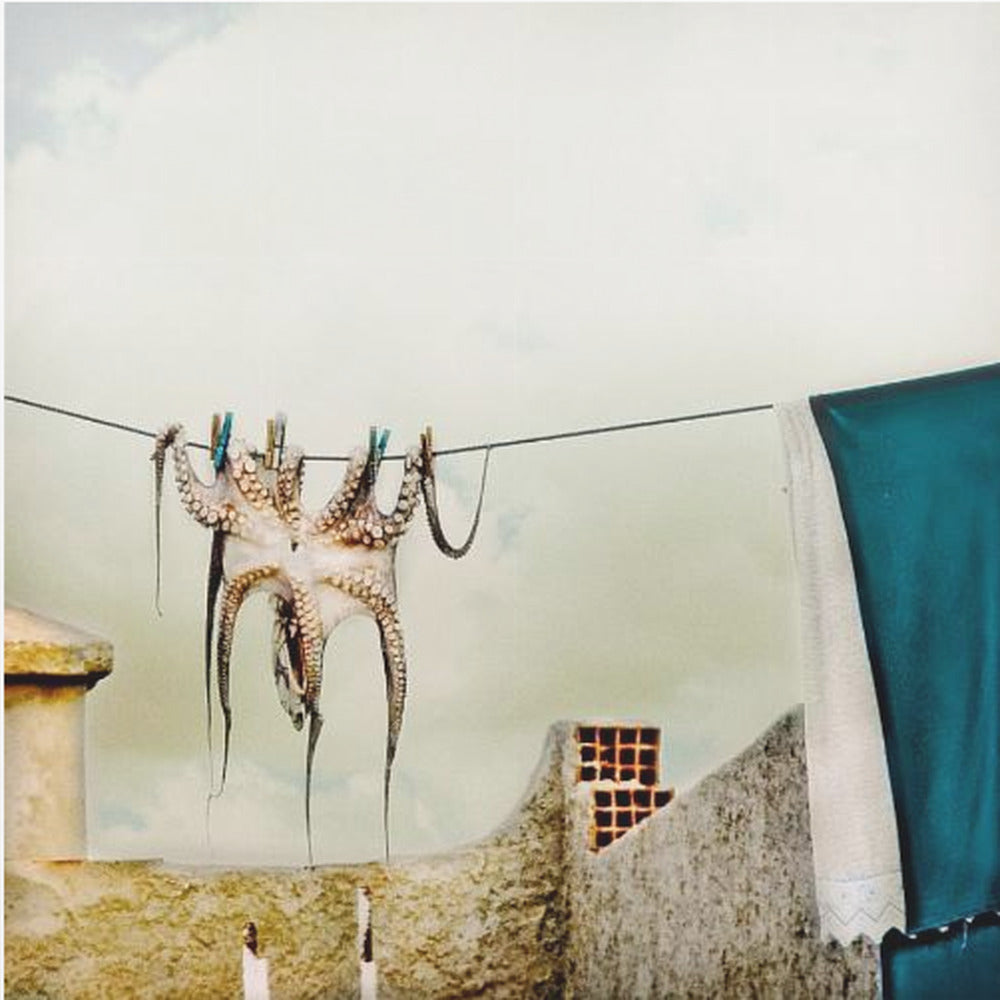 Wąż Tote | Wydruki na łótnie