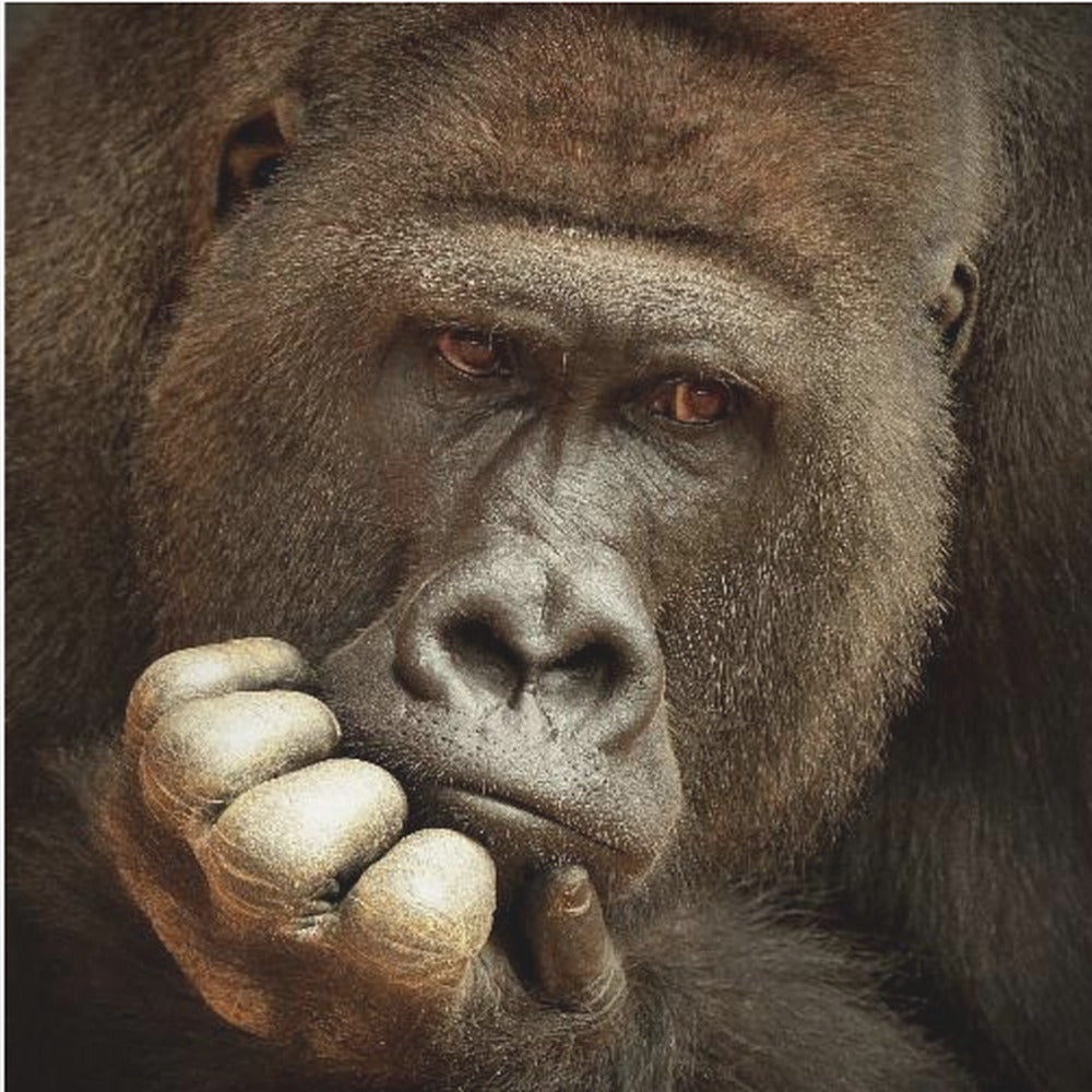SENSE OF LIFE ... | Poster