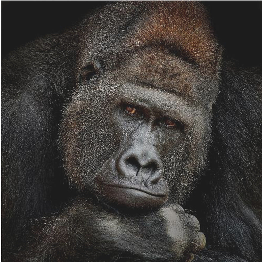 ONE MOMENT IN CONTACT | Canvas