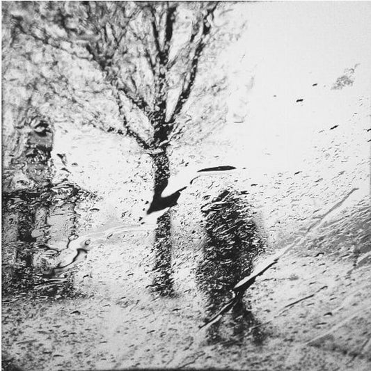 Pysymme yhdessä | Canvastaulut