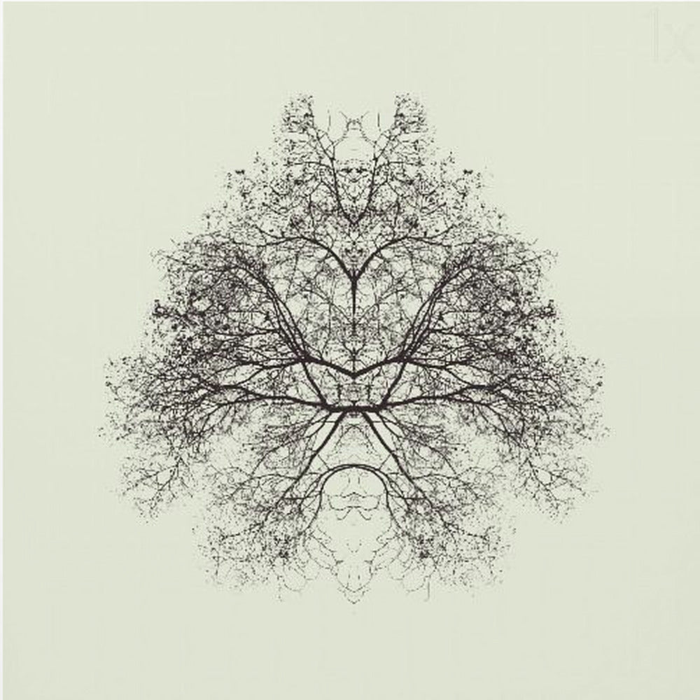 Test Rorschacha | Wydruki na łótnie