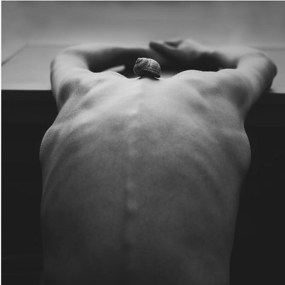 ślimak Wydruki na łótnie