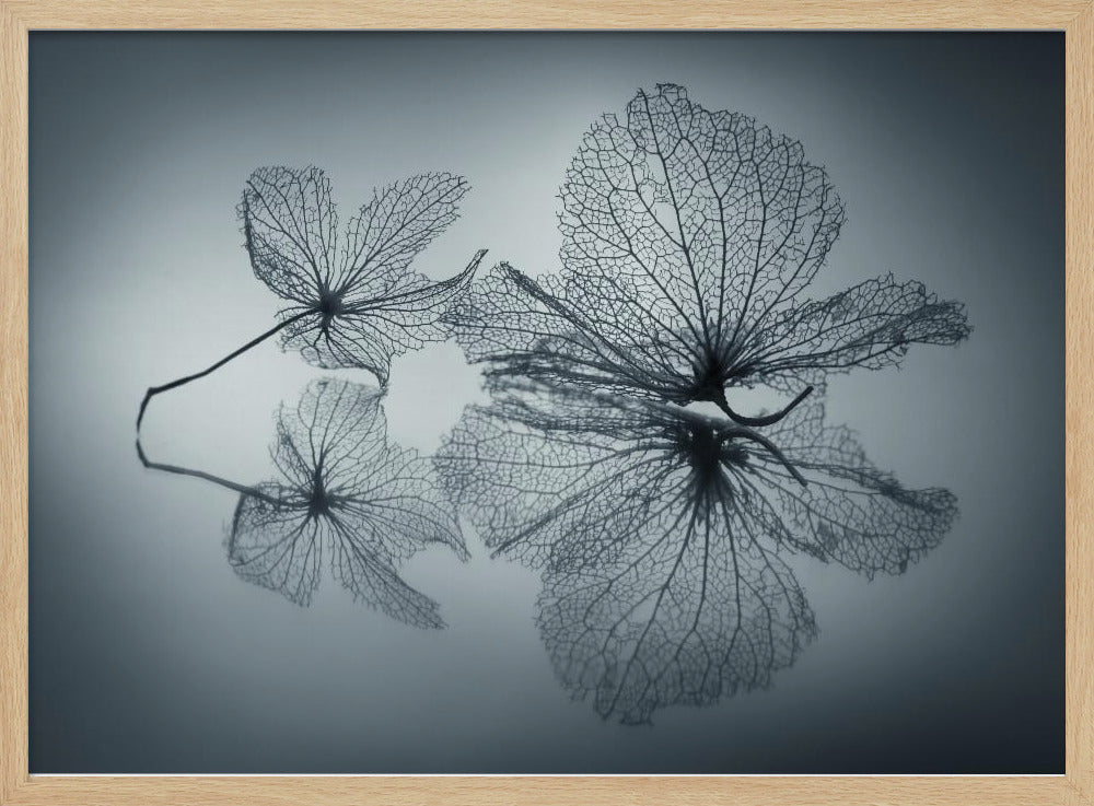 Ephemeral Beauty | Poster