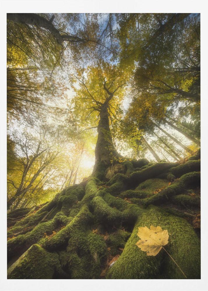 The goodbye of a leaf | Poster