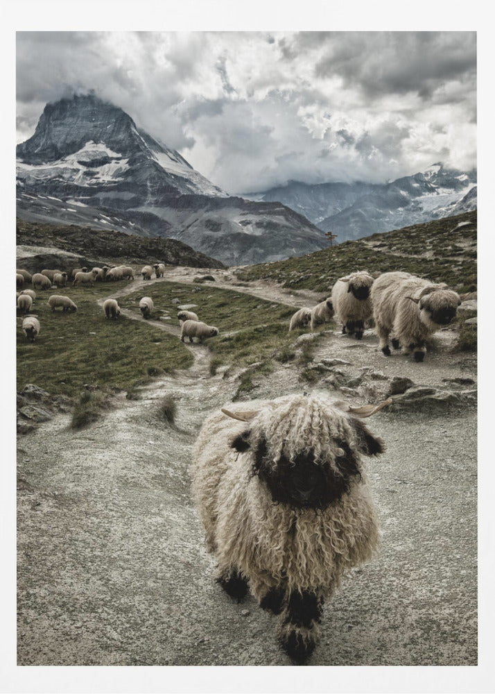 Out of my way | Poster