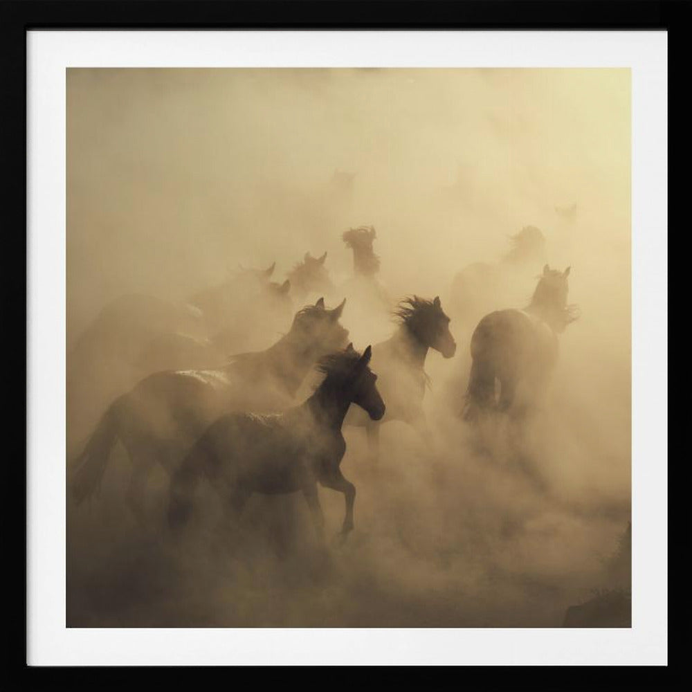migration of horses | Poster