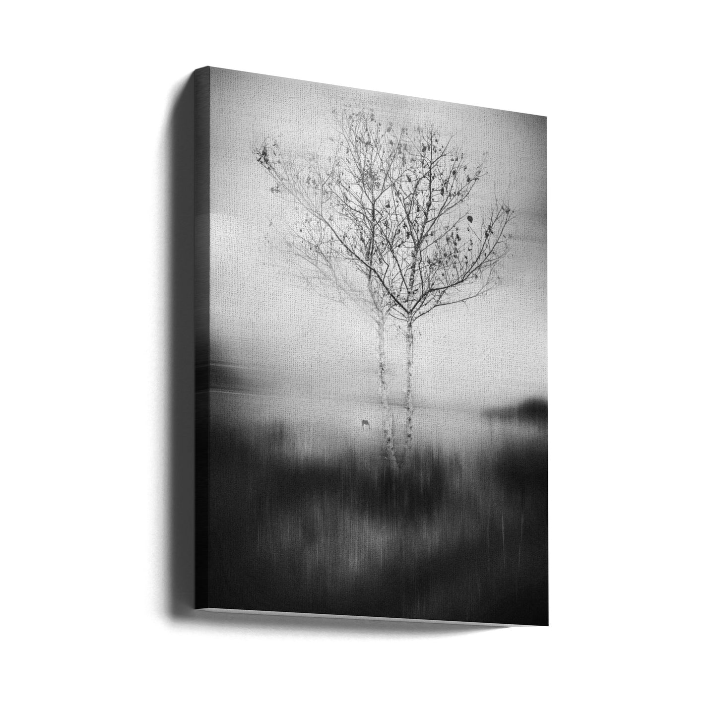 Ese arbol Impresiones en Lienzo