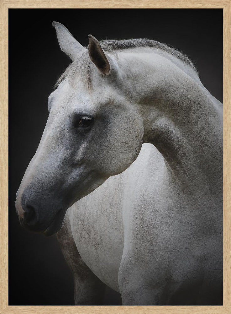 Maggie | Poster