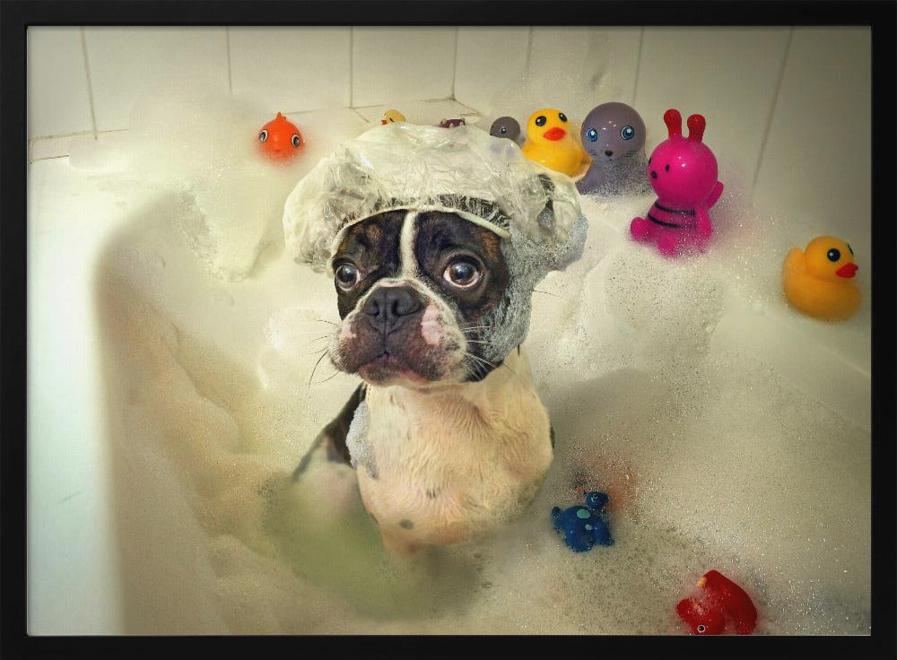 The Bath | Poster