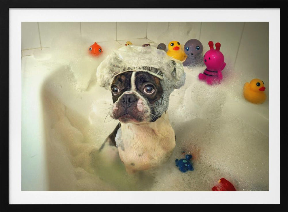 The Bath | Poster