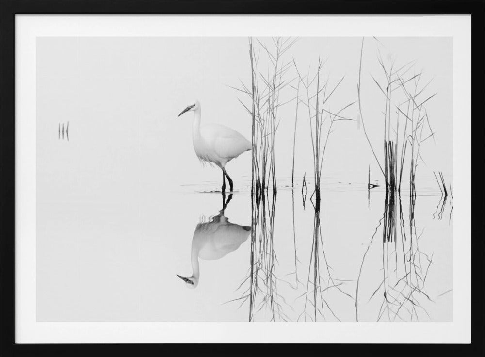 white | Poster