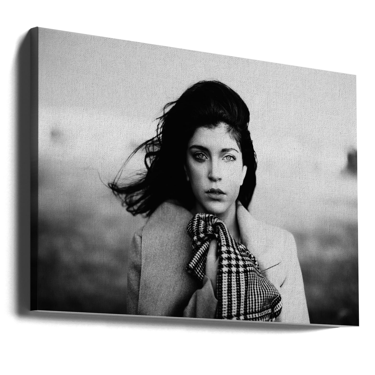Untitled | Canvas