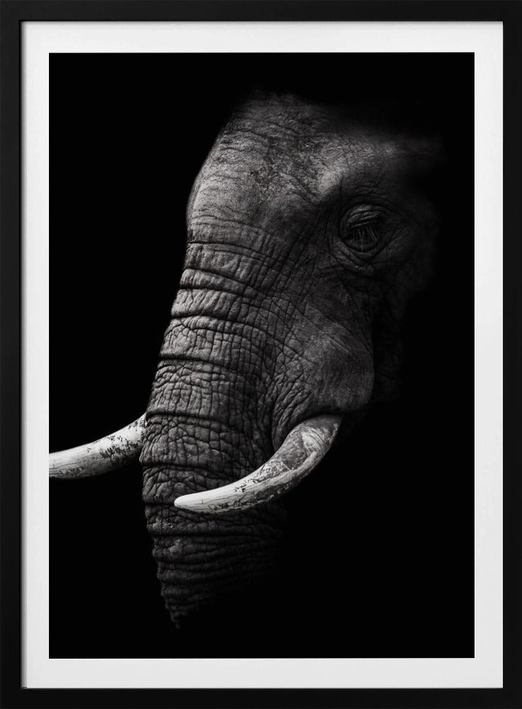 Portrait | Poster