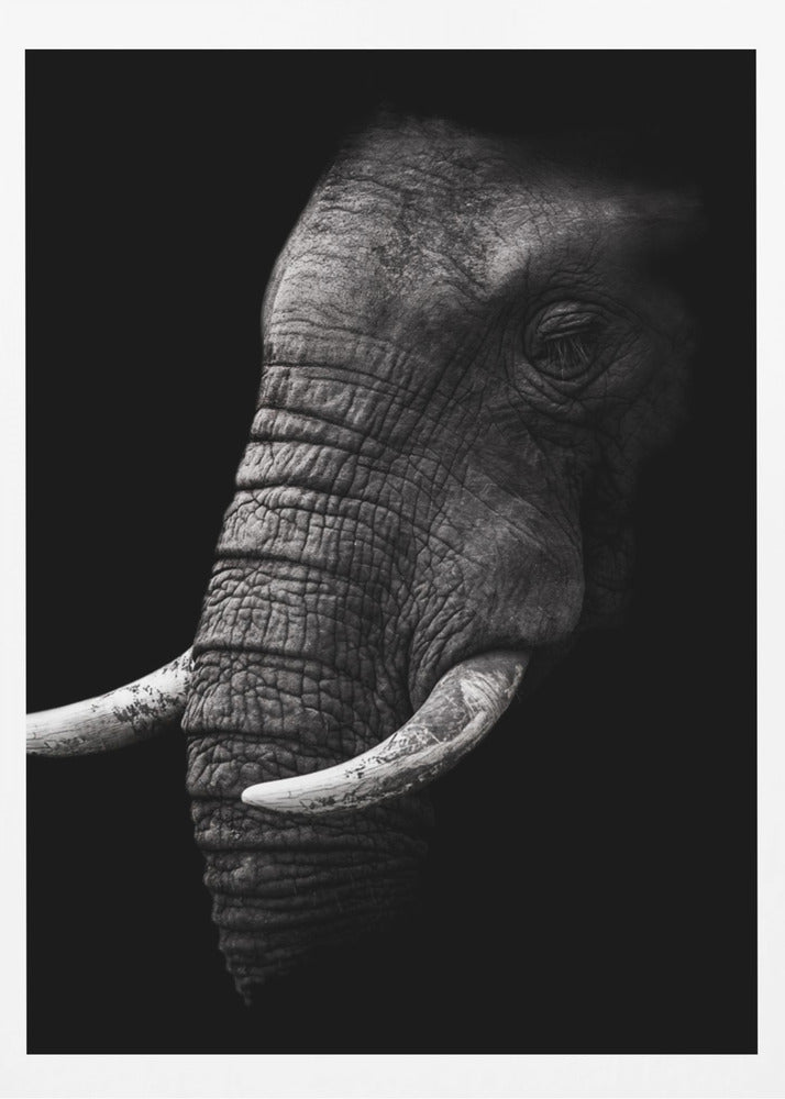 Portrait | Poster