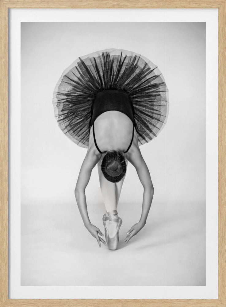 Ballet Technique | Poster
