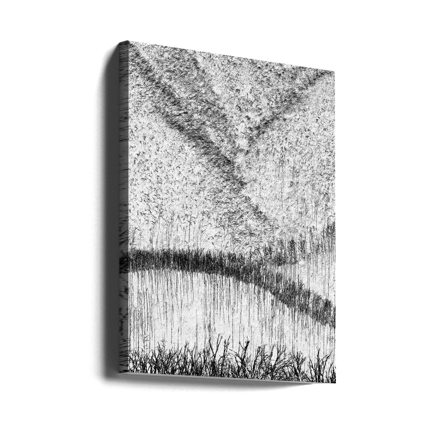 Back From The Dead | Canvas