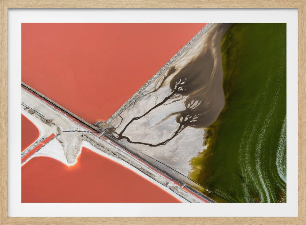 Nature's painting | Poster