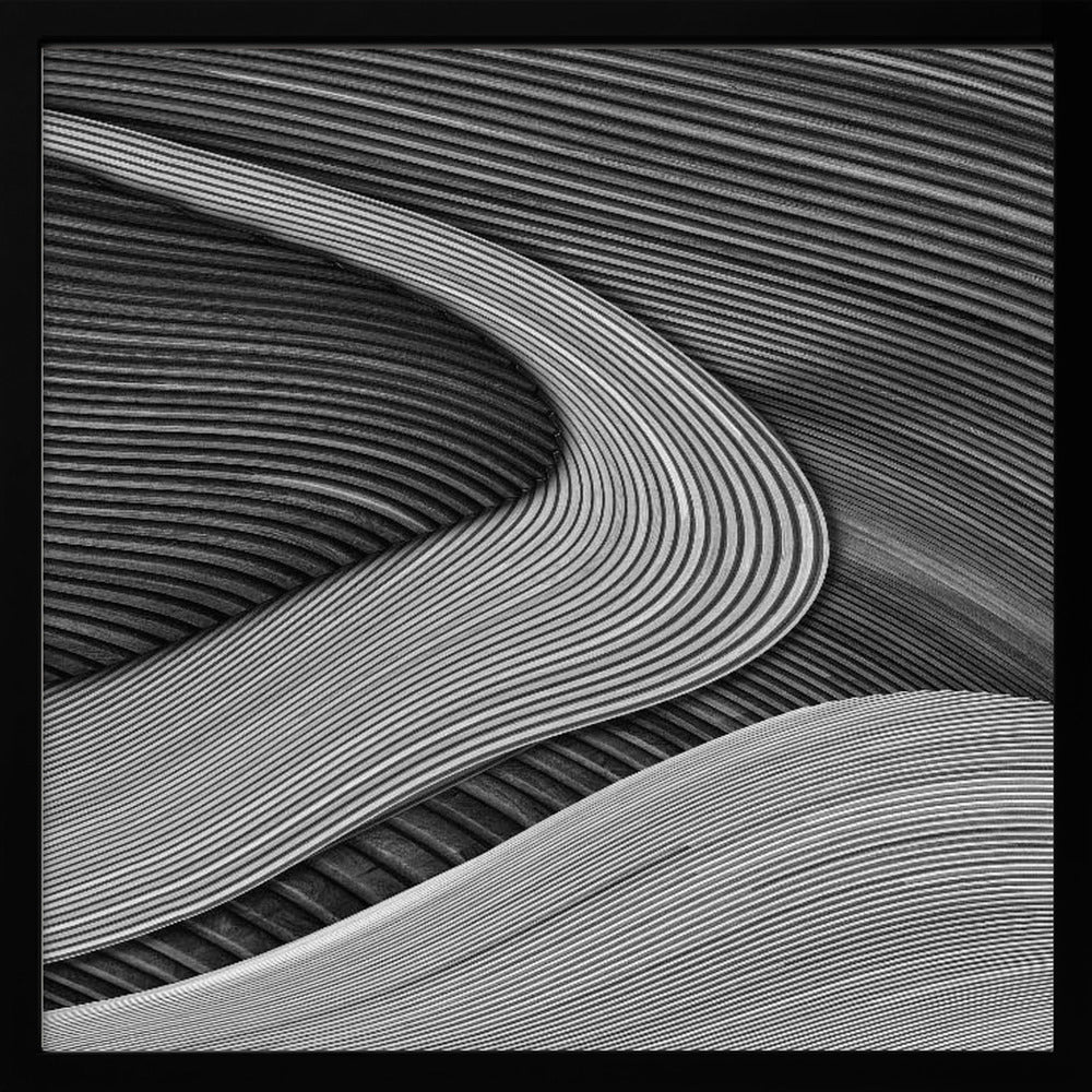The wood project III - Zen garden | Poster