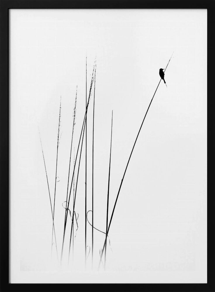 a sabbatical | Poster