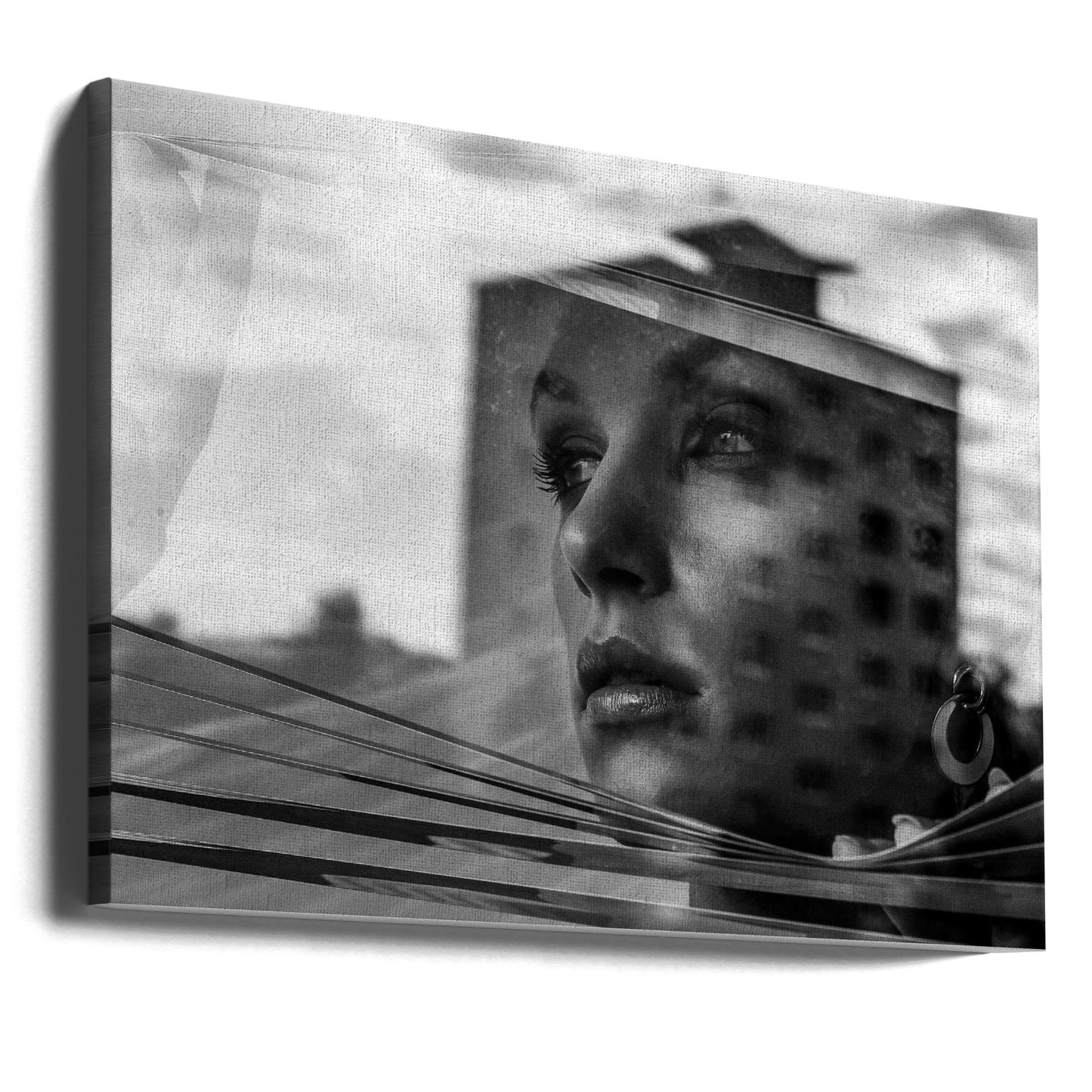 Window | Canvas