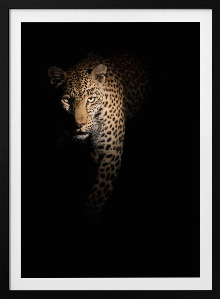 Out of the darkness | Poster