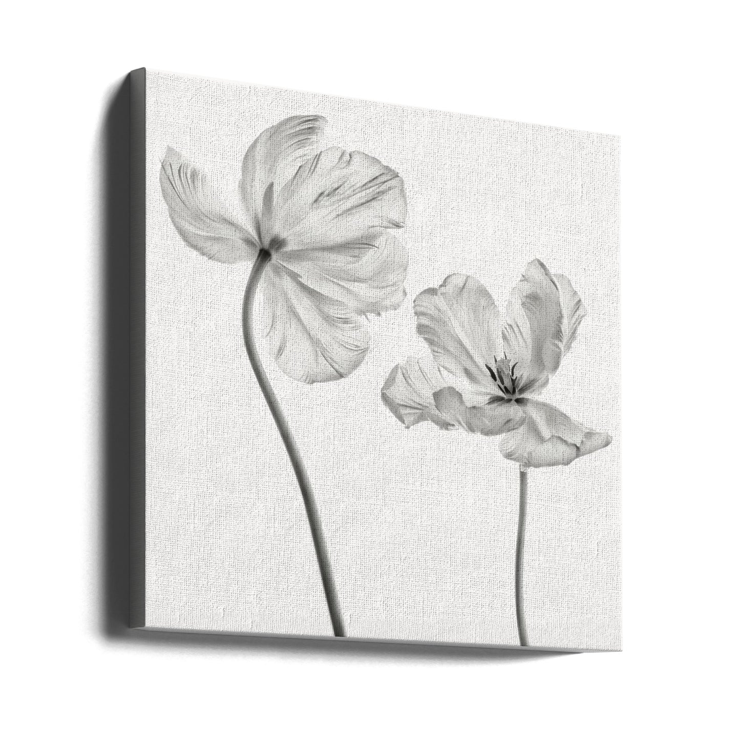 Samma tulpan: fram- och baksida | Canvas