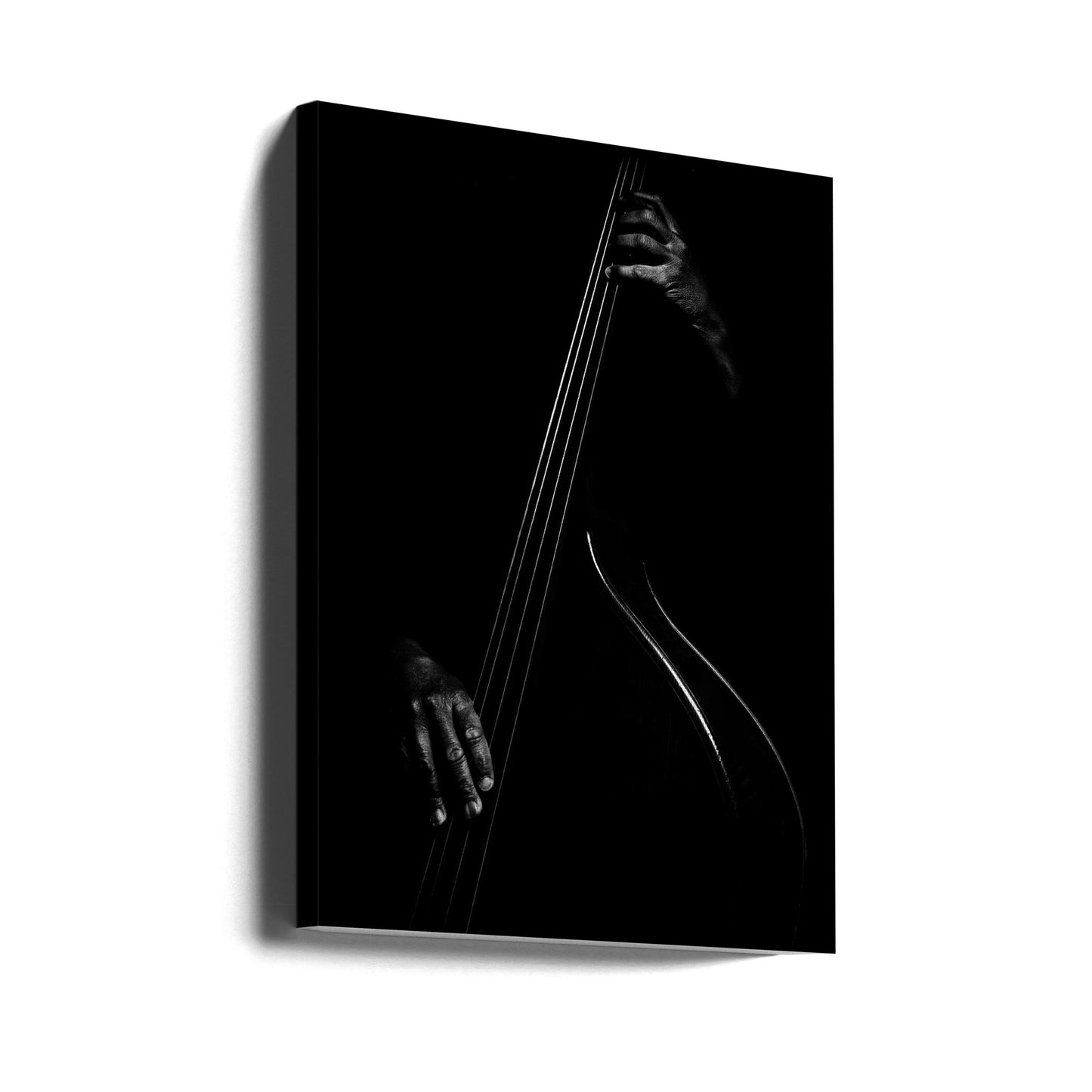 Le contrebassiste | Tableaux sur Toile