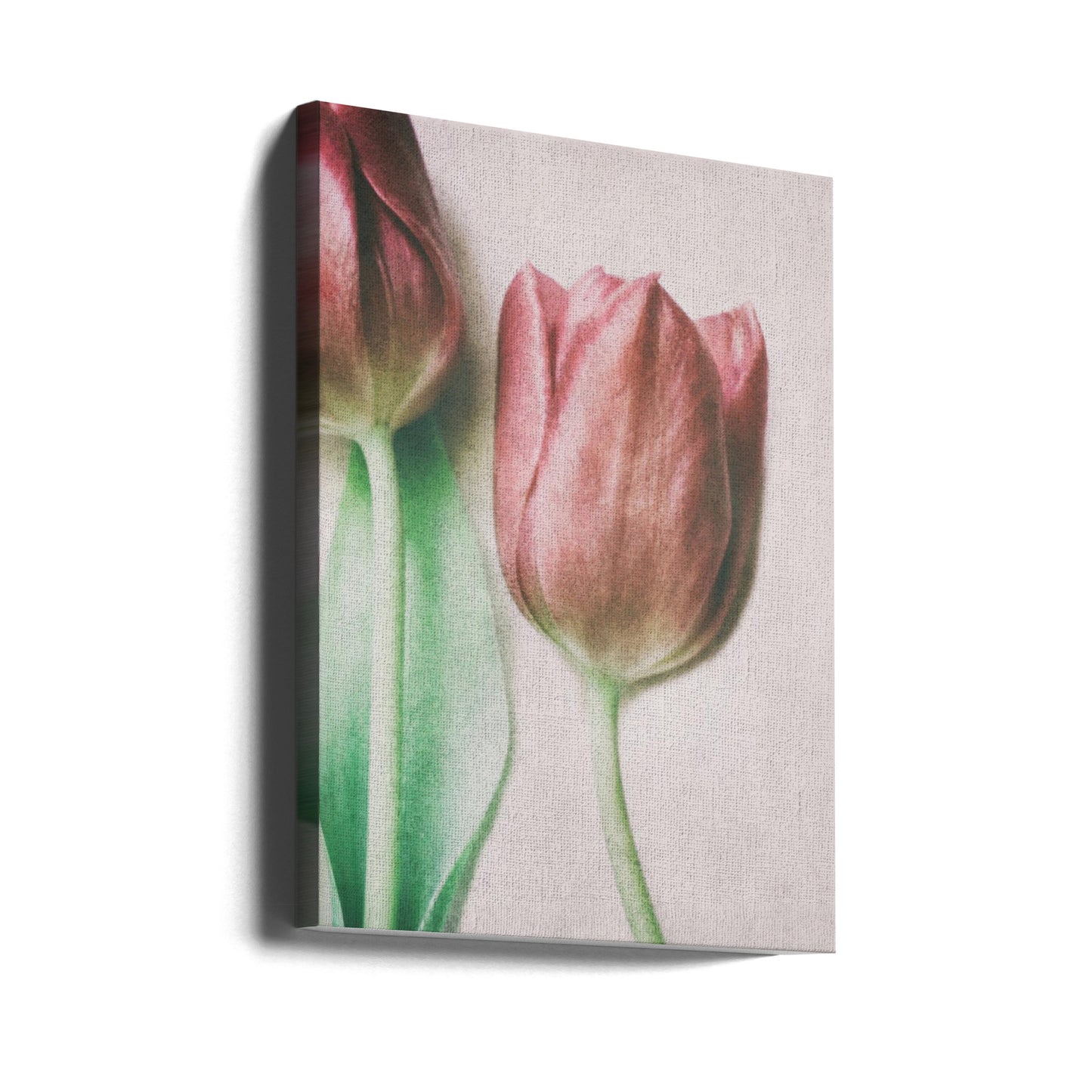 Les amoureux du printemps | Tableaux sur Toile