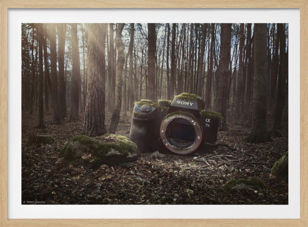 Lost | Poster