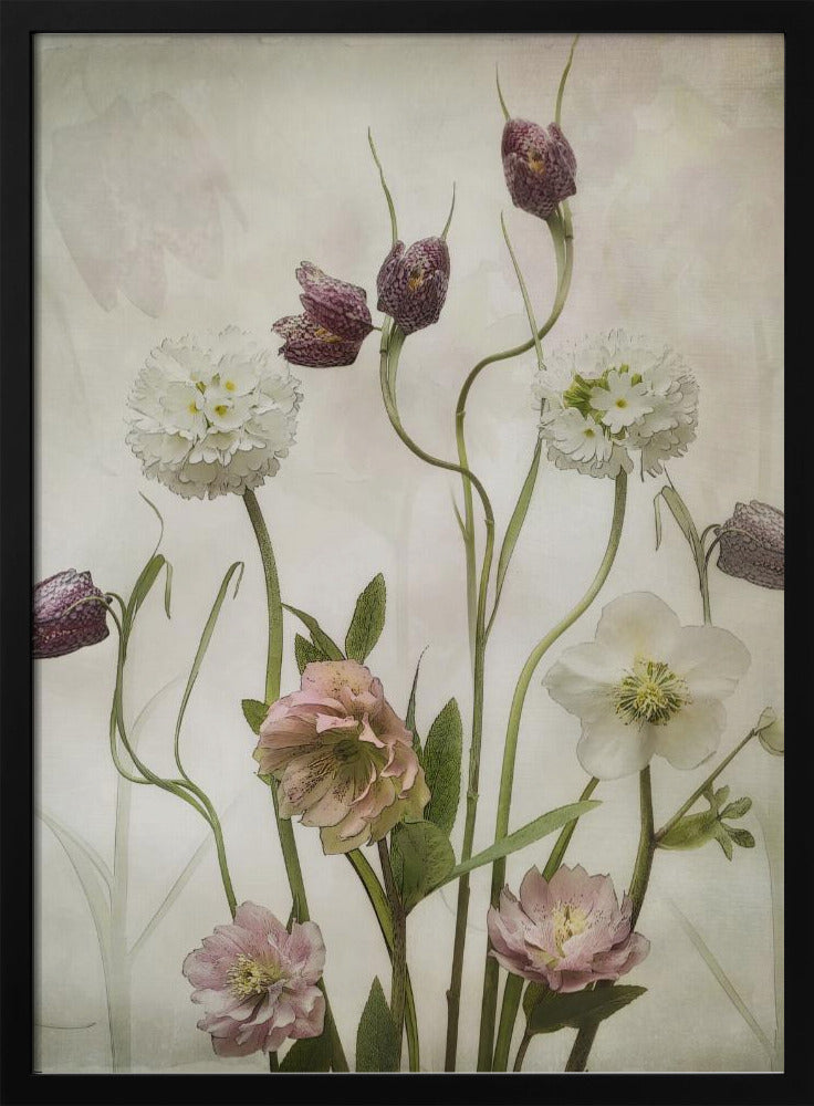 Spring Garden | Poster