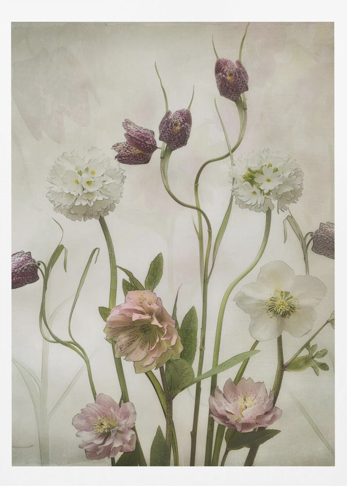 Spring Garden | Poster