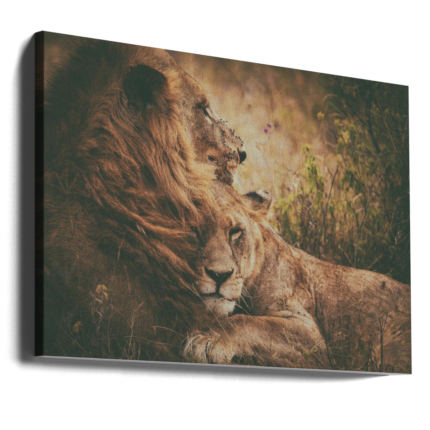 Wij "vliegen" samen | Canvasprints