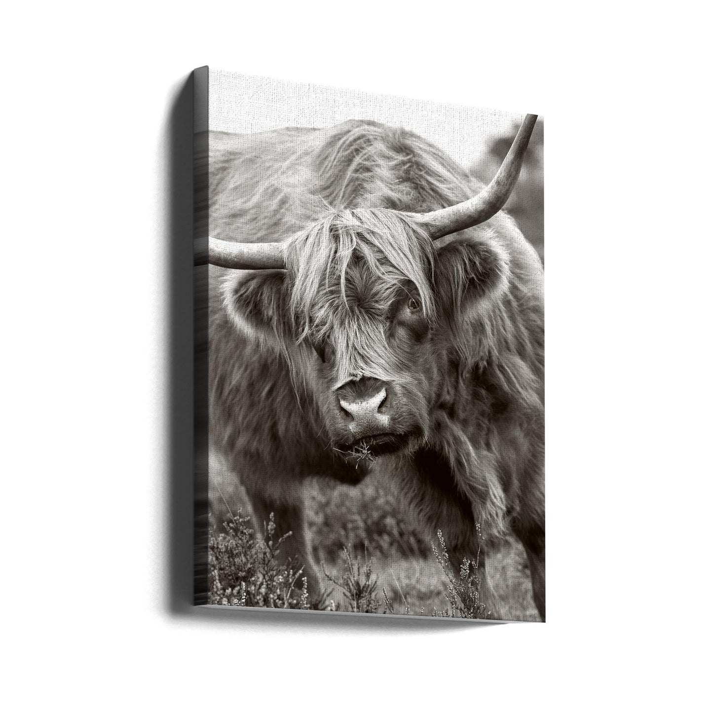 El Toro | Impresiones en Lienzo