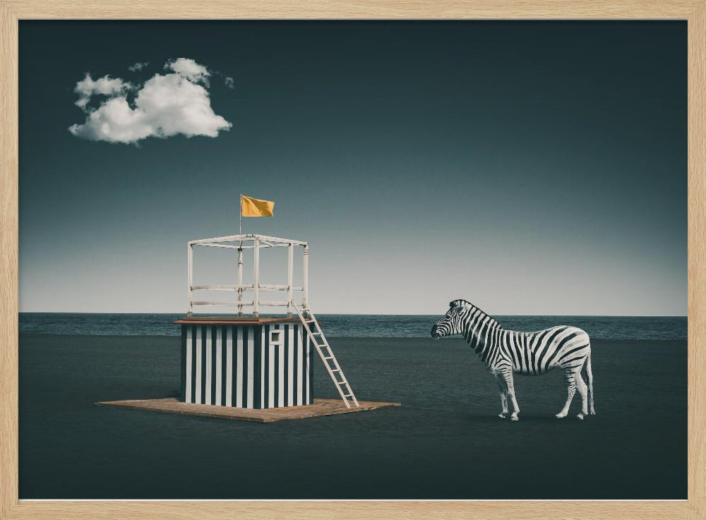 Zebra style | Poster