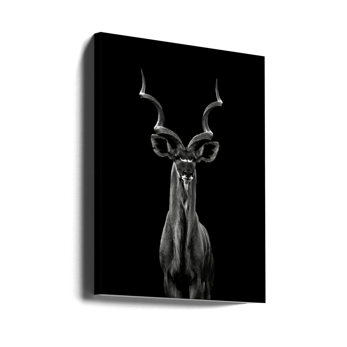 Grote koedoe | Canvasprints