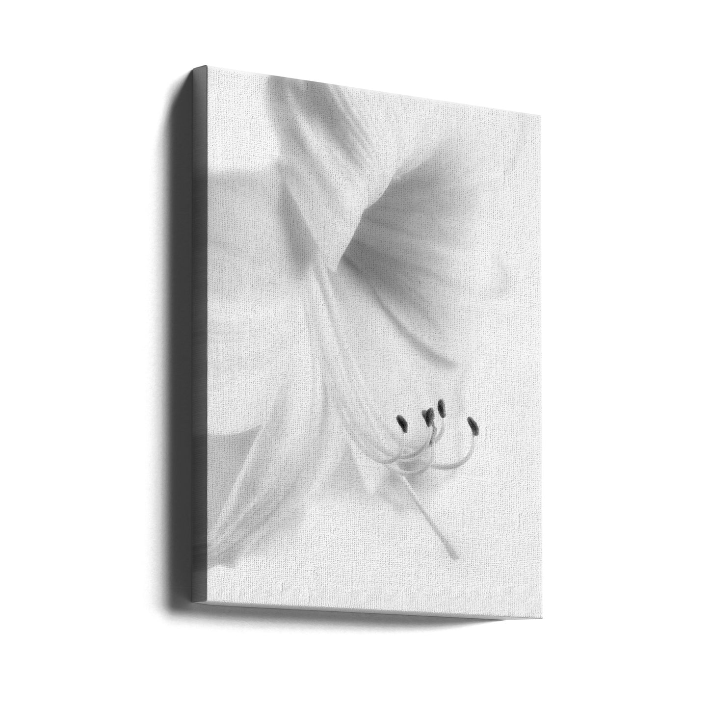 Blanc sur blanc | Tableaux sur Toile