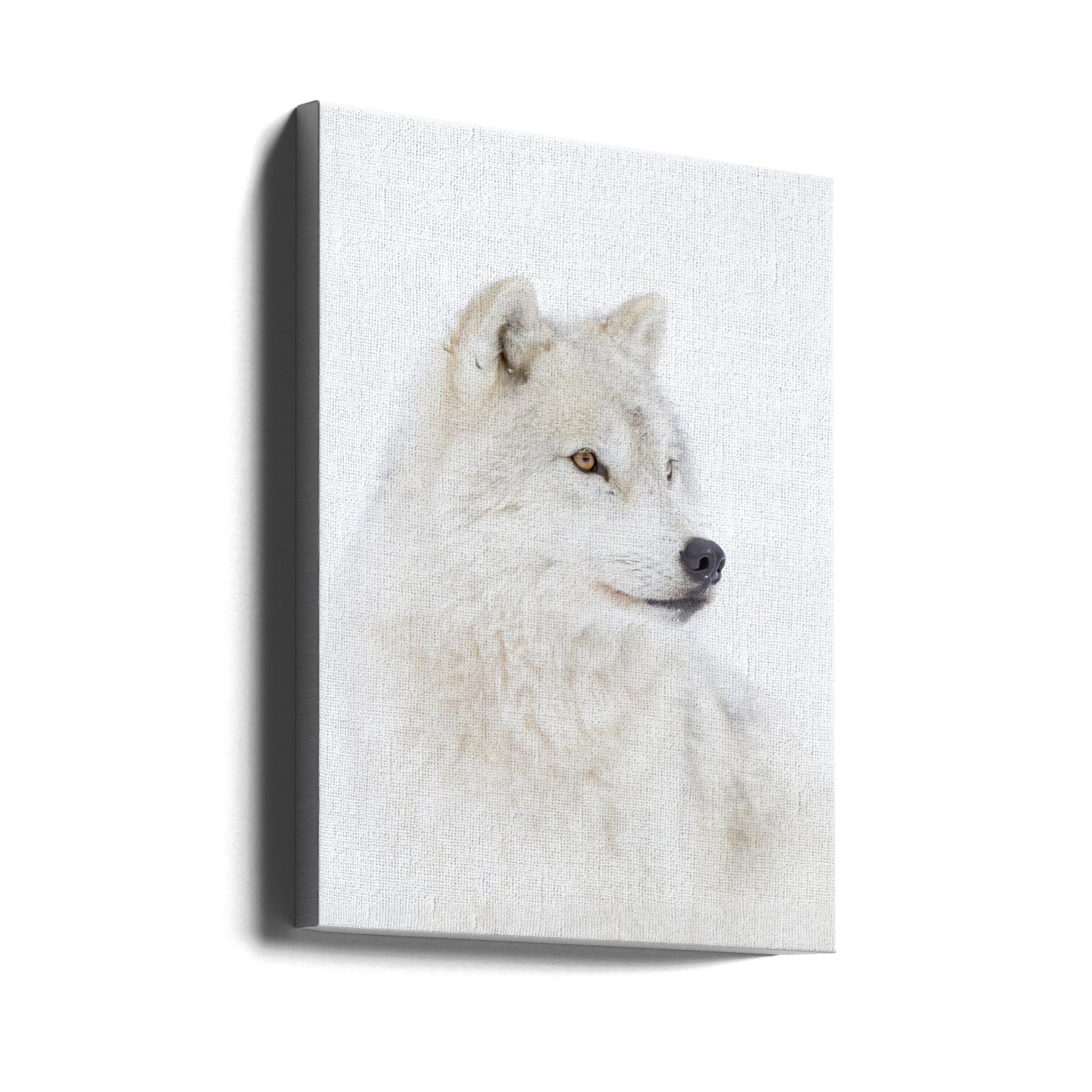 Portret wilka polarnego | Wydruki na łótnie