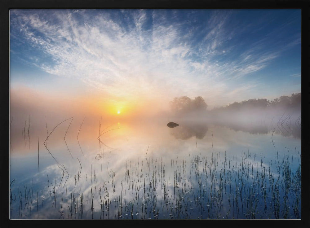 Reflexion | Poster - Kunstdruck