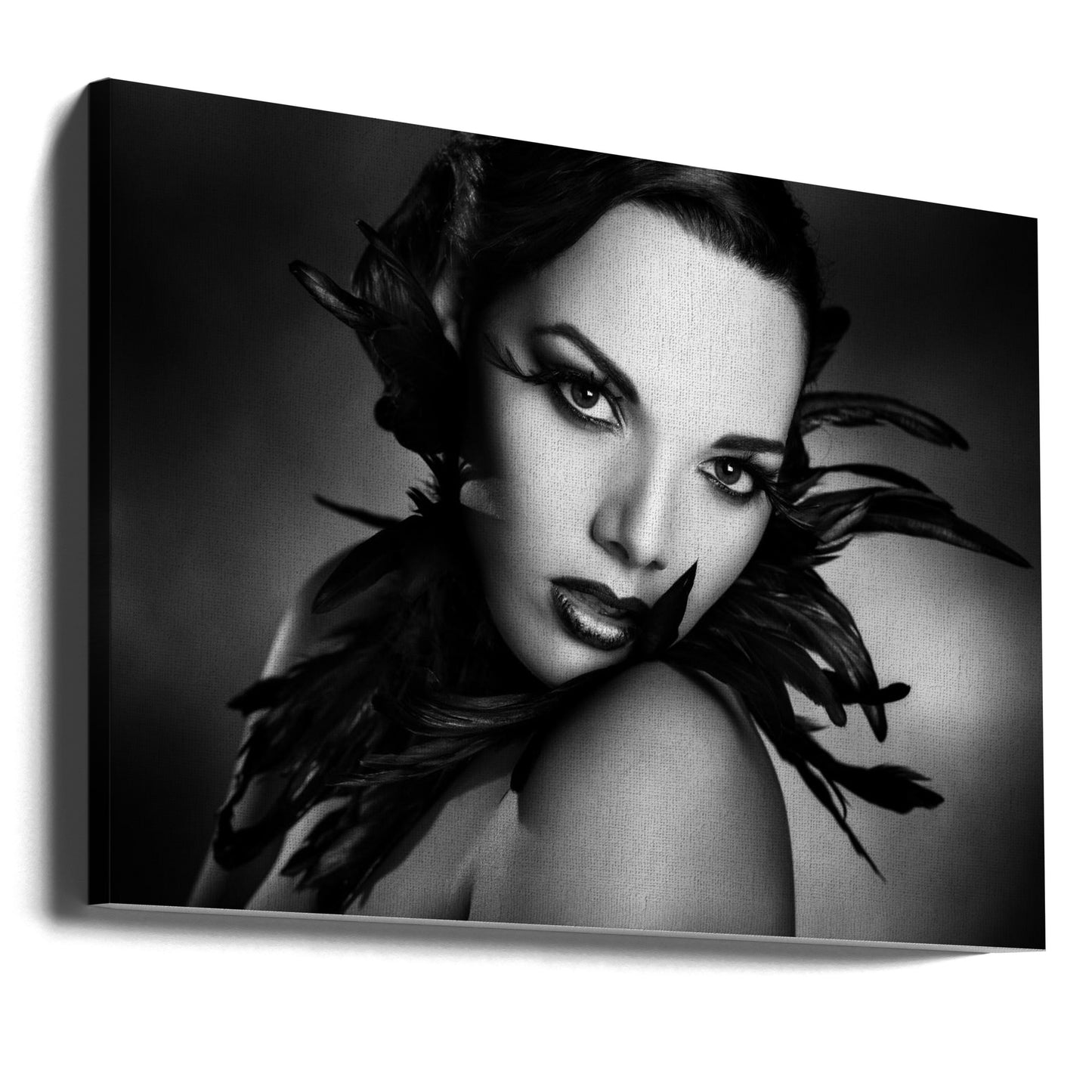 The black feathers | Canvas
