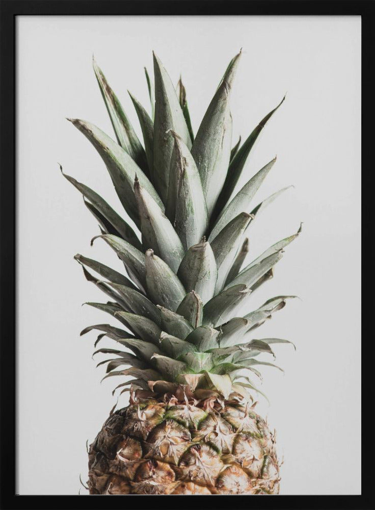 Ananas Naturalny | Plakaty - Wydruki Artystyczne