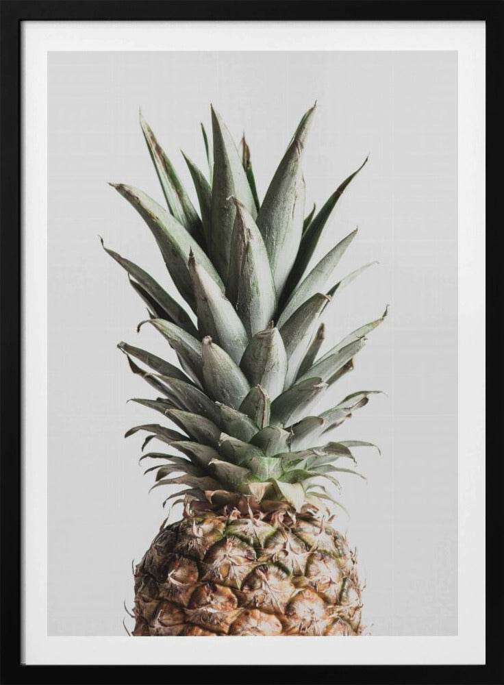 Ananas Naturalny | Plakaty - Wydruki Artystyczne