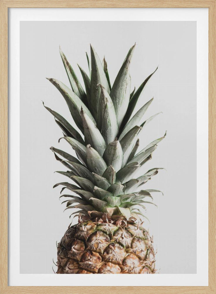 Ananas Naturalny | Plakaty - Wydruki Artystyczne